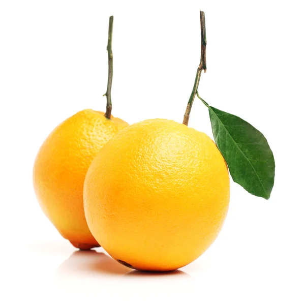 熟した新鮮なレモン — ストック写真
