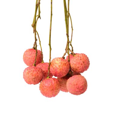 Beyaz üzerine taze lychee