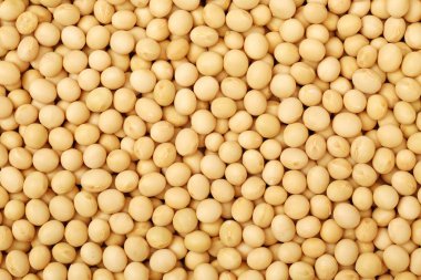 Kurutulmuş soya fasulye yığını