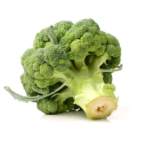 Broccoli su sfondo bianco — Foto Stock