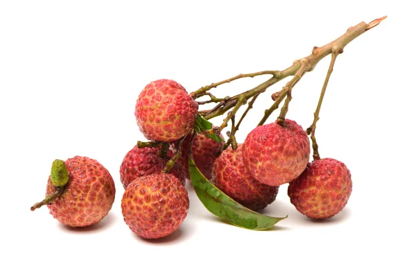 Verse lychee op wit — Stockfoto