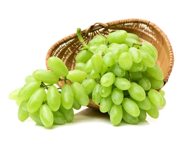 Bouquet de raisins verts — Photo