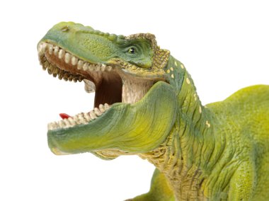 dinozor oyuncak yakın çekim