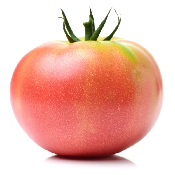 Närbild Skott Färsk Tomat Vit Bakgrund — Stockfoto
