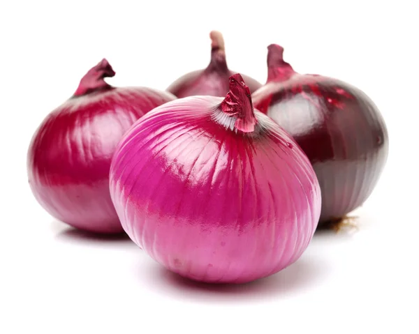 Red onion on white background — Stock Photo, Image