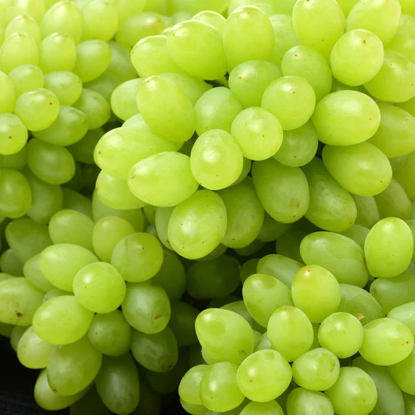 Bukiet zielonych winogron — Zdjęcie stockowe