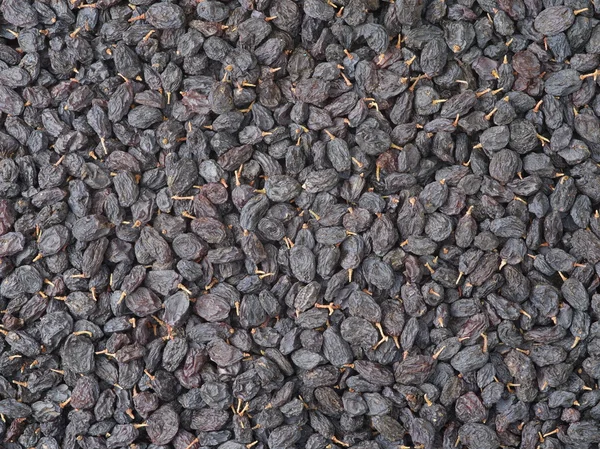 Dark Coloured Raisins Background — Stock Photo, Image