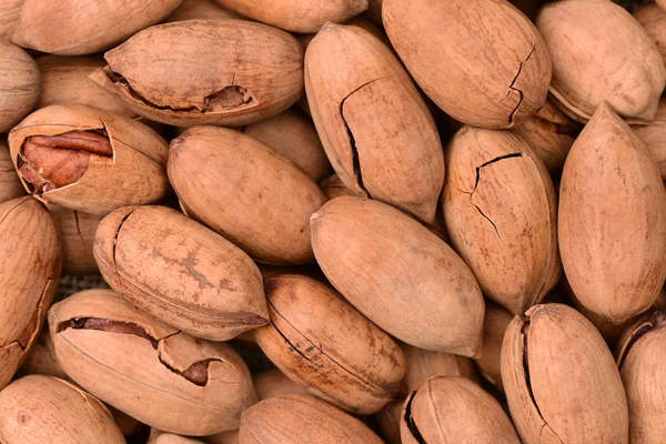 Pecan nuts in pile — Stock Photo, Image