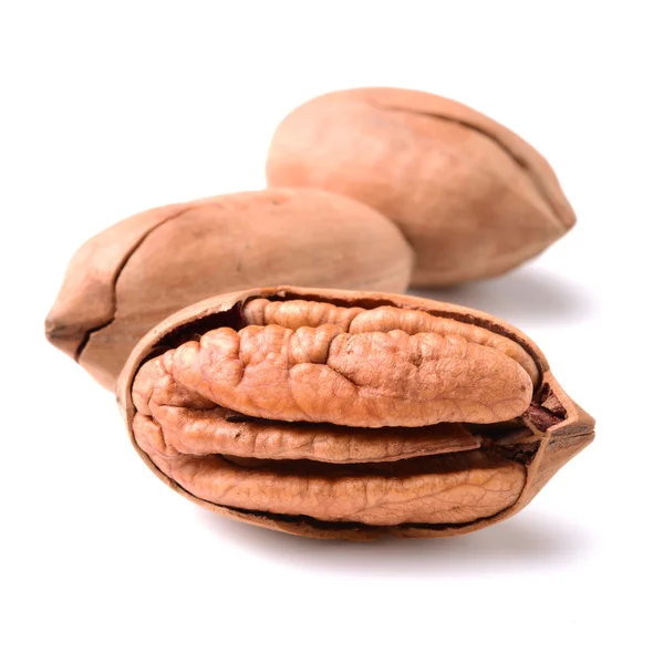 Орехи орехов орехов в куче — стоковое фото