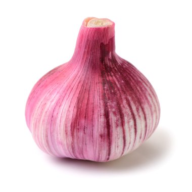 new garlic on white background clipart