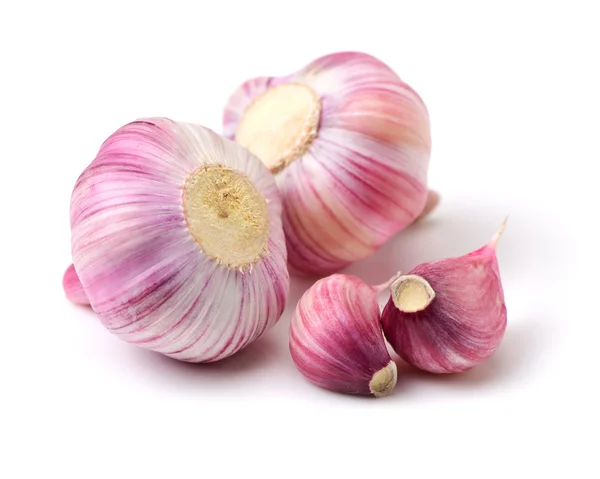 New garlic on white background — Stock Photo, Image