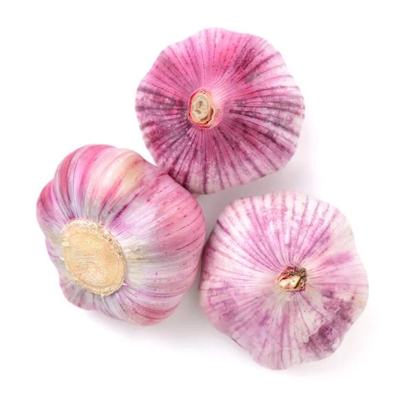 New garlic on white background — Stock Photo, Image