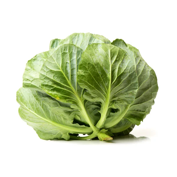 Green cabbage close up — Stock Photo, Image