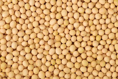 Kurutulmuş soya fasulye yığını