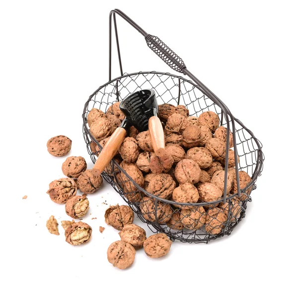 Pile of walnuts close up — Stock Photo, Image