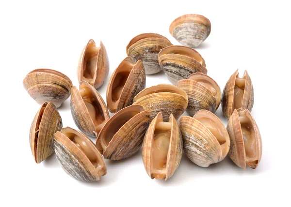 Raw scallops on white — Stock Photo, Image