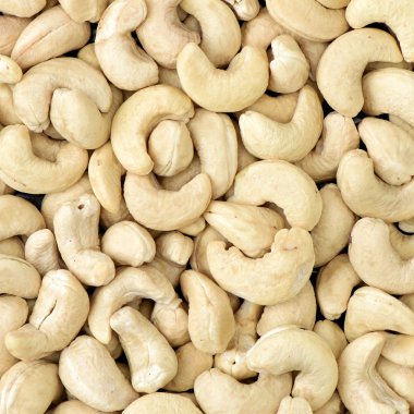 Cevizli fındık yakın çekim