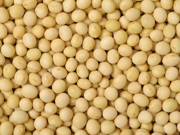 Pile di semi di soia essiccati — Foto Stock
