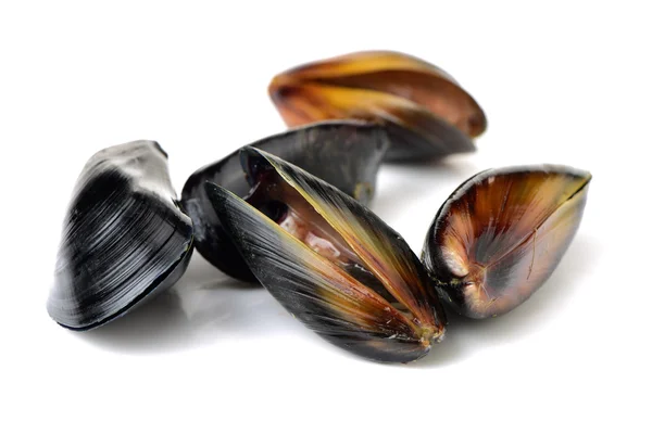 Pile of mussels close up — Stock Photo, Image