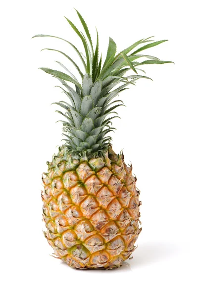 Ananas close-up op wit — Stockfoto