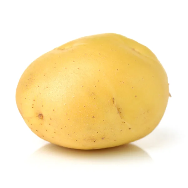 Raw Potato White — Stock Photo, Image