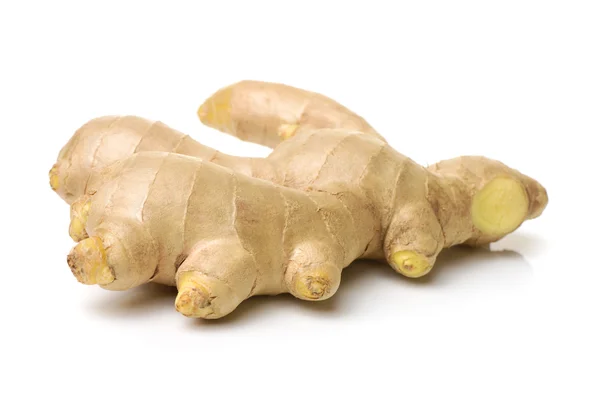 Ginger Root Isolated White Background — Stock Photo, Image