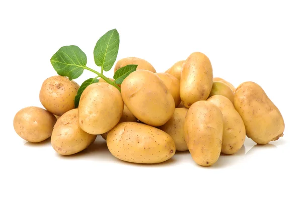 Potato close up on white — Stock Photo, Image