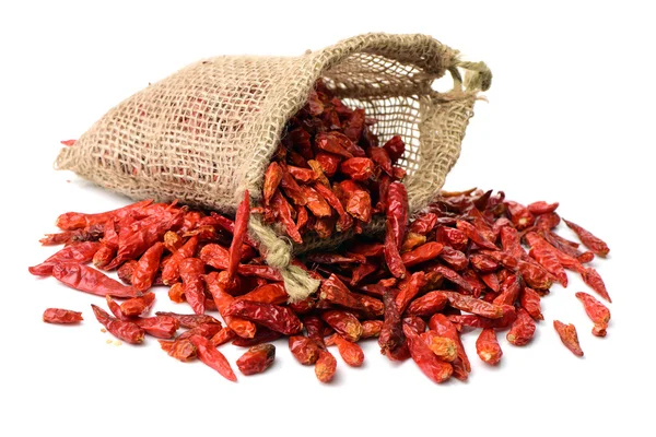 Dry Red Chillies Sack — Stock Photo, Image