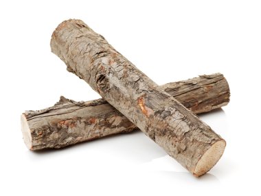 Beyaz çam günlükleri 