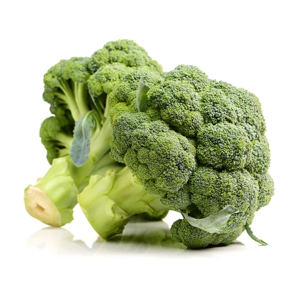 Broccoli su sfondo bianco — Foto Stock