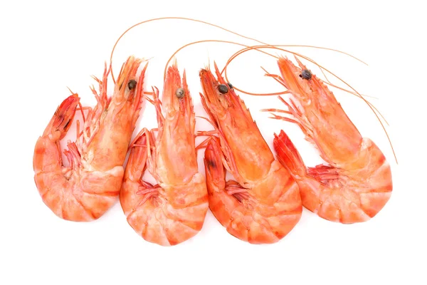 Pile of shrimps close up — Stock Photo, Image