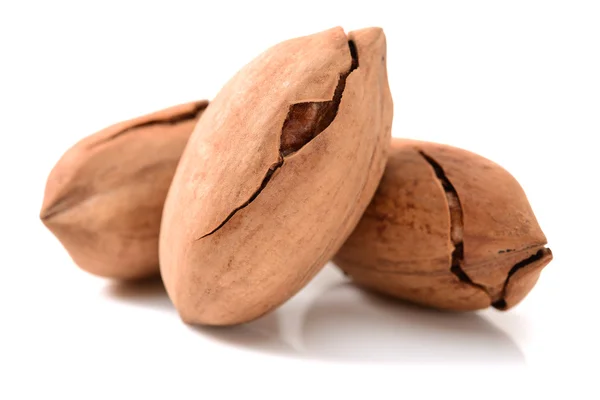 Pecan nuts in pile — Stock Photo, Image