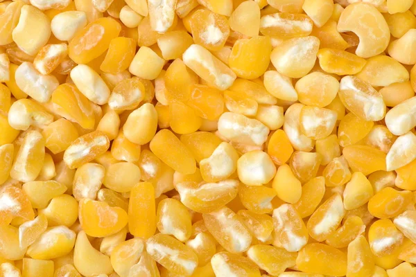 Natural corn grains — Stock Photo, Image