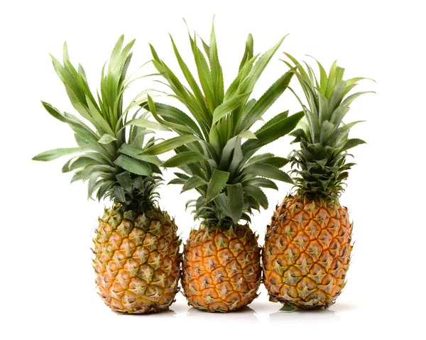 Ananas da vicino su bianco — Foto Stock