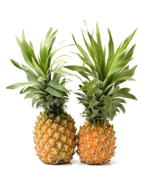 Ananas da vicino su bianco — Foto Stock