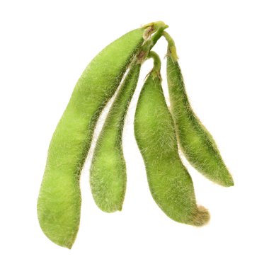 Beyaz yeşil börülce 