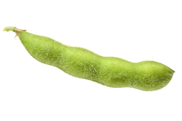 Gröna kidneyböna på vit — Stockfoto