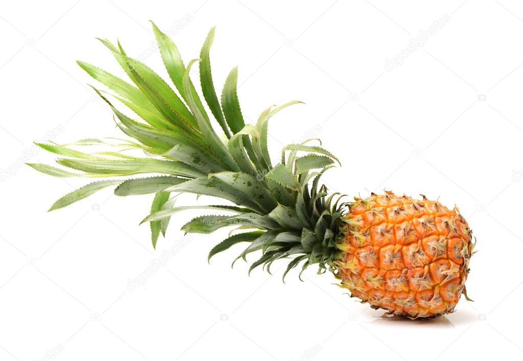 白のパイナップルをクローズ アップ ストック写真 C Jianghongyan