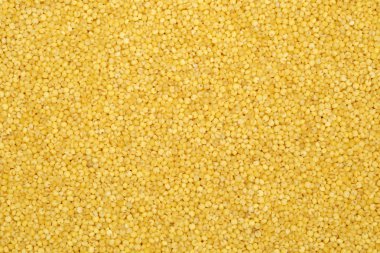 doğal tohumları darı