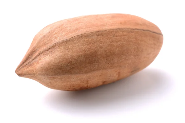 Pecan nut z bliska — Zdjęcie stockowe