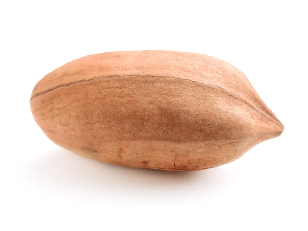 Pecan nut close up — Stock Photo, Image