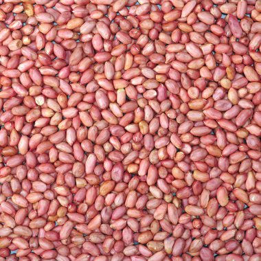 Sepet içinde taze çiğ zencefil