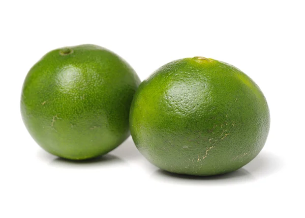 Limes sur fond blanc — Photo