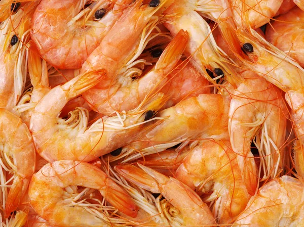 Lots of shrimps close up — Stock Photo, Image