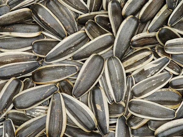 Black sunflower seeds. For texture — Stock Photo, Image