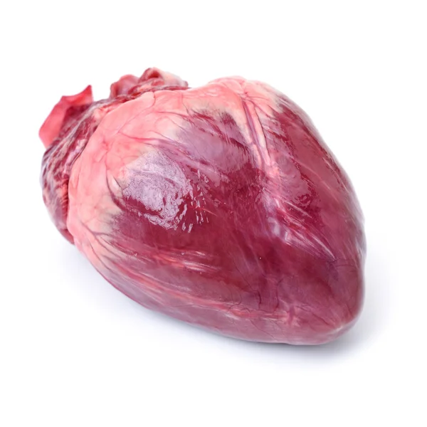 Coeur de porc cru frais — Photo