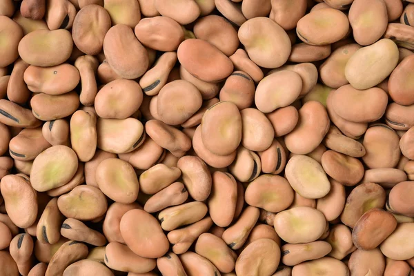 Pile of broad beans — Stock Photo, Image