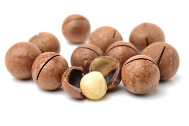 Macadamia fıstığı yakın çekim 