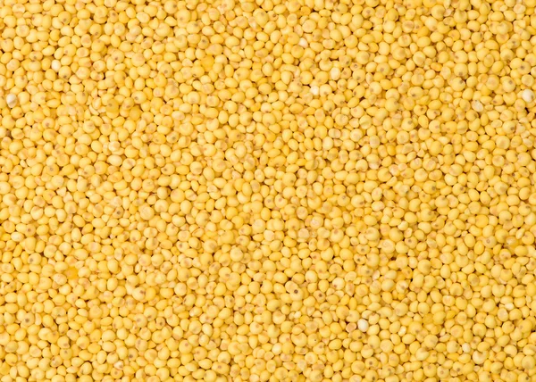 Natural seeds millet — Stock Photo, Image