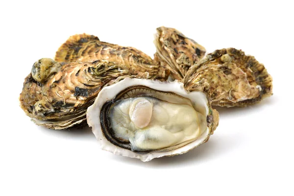 Fresh Oysters Isolated White Background — Stock Photo, Image